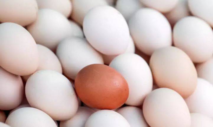 Beyaz mı kahverengi mi? Hangi yumurta daha sağlıklı? 39